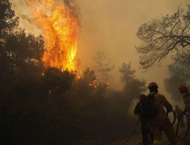 Μεγάλη πυρκαγιά στην Κεφαλονιά – Μάχη με τις φλόγες δίνουν οι πυροσβέστες έξω από το χωριό Ζόλα (φώτο-βίντεο)